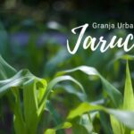 Reorganiza administración de Granja Urbana sistema de comercialización