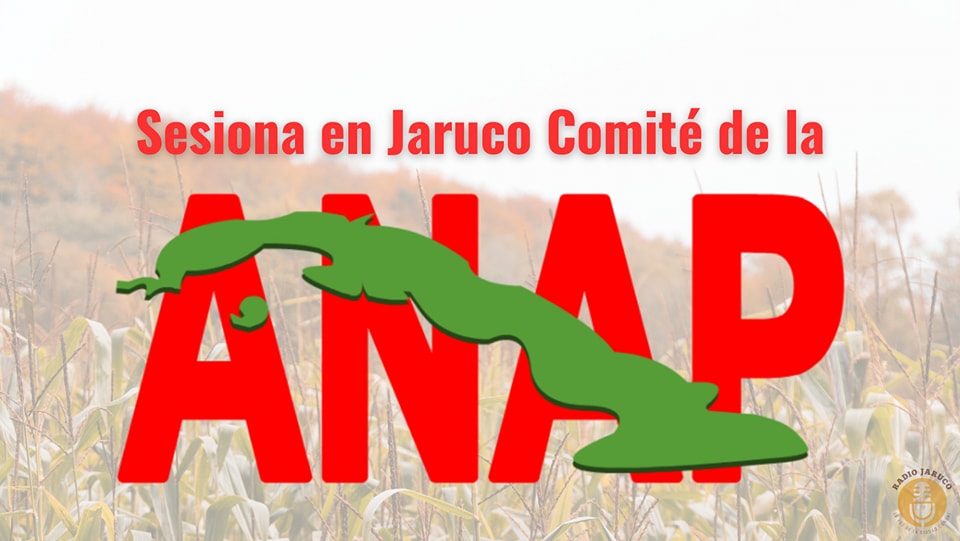 Sesiona en Jaruco Comité de la Asociación de Agricultores Pequeños