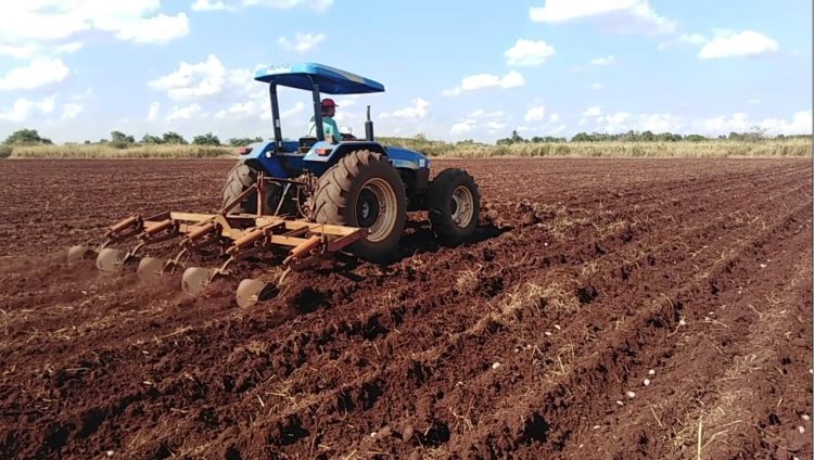 Finaliza alta fiscalización a sector agropecuario por diputados de Mayabeque.