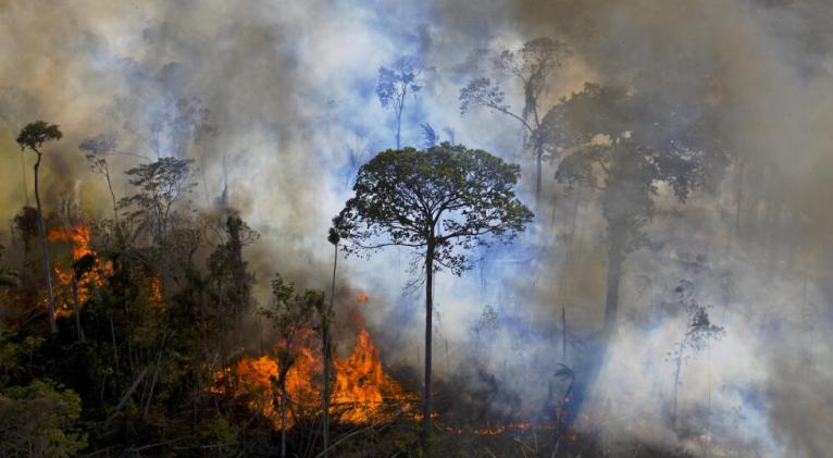Brasil redobla el combate a los incendios en la Amazonía.