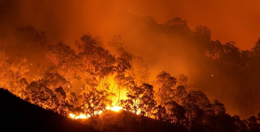 Incendios sin control en Australia.