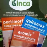 Avanza proyecto de sustitución de exportaciones de Empresa Complejo Mayabeque