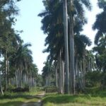 Impulsa Turismo Rural en Mayabeque Universidad Agraria de La Habana