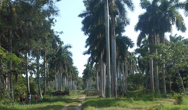 Impulsa Turismo Rural en Mayabeque Universidad Agraria de La Habana. Foto: Archivo