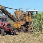 Alistan condiciones en Madruga para los cortes de caña de la venidera zafra