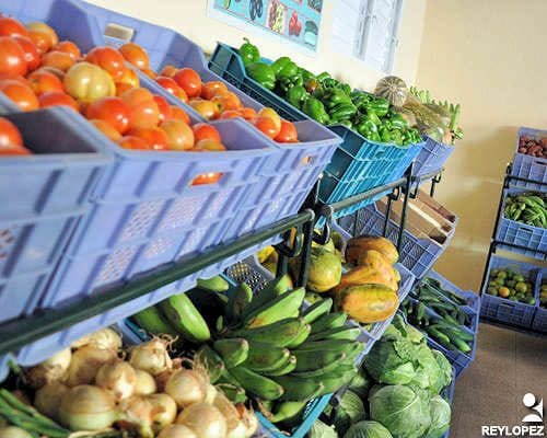 Avanza en Mayabeque creación de puntos de ventas de productos agrícolas.
