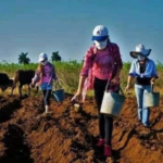 La mujer rural como pilar en la producción de alimentos