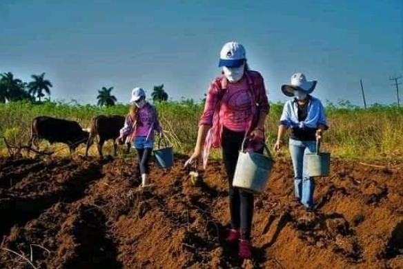 La mujer rural como pilar en la producción de alimentos