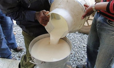 Por una mejor calidad de la leche