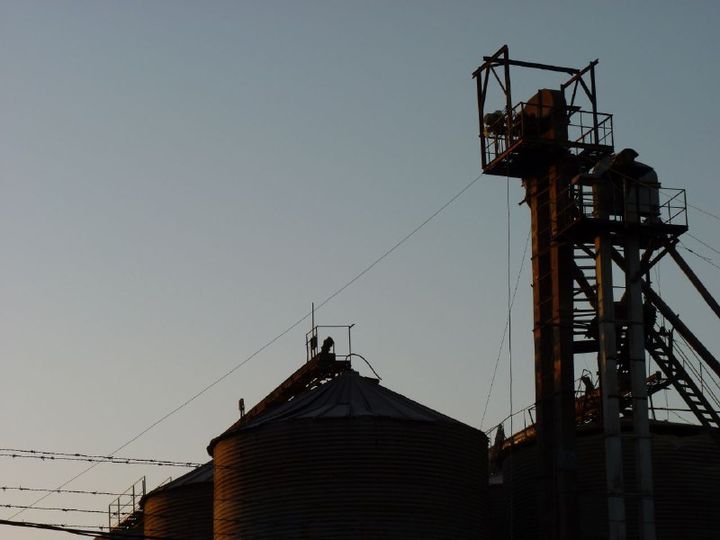 Atrasada en Jaruco inversión en fábrica de piensos
