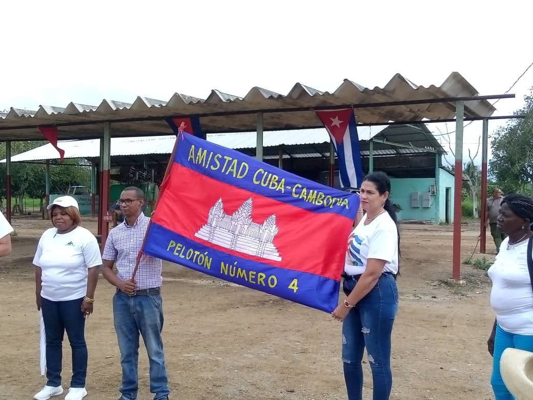 Listos cañeros de Jaruco para zafra 2023-2024