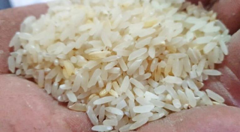 Ministerio de Comercio Interior informa sobre la distribución de arroz para noviembre.