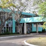 Para aportar al desarrollo