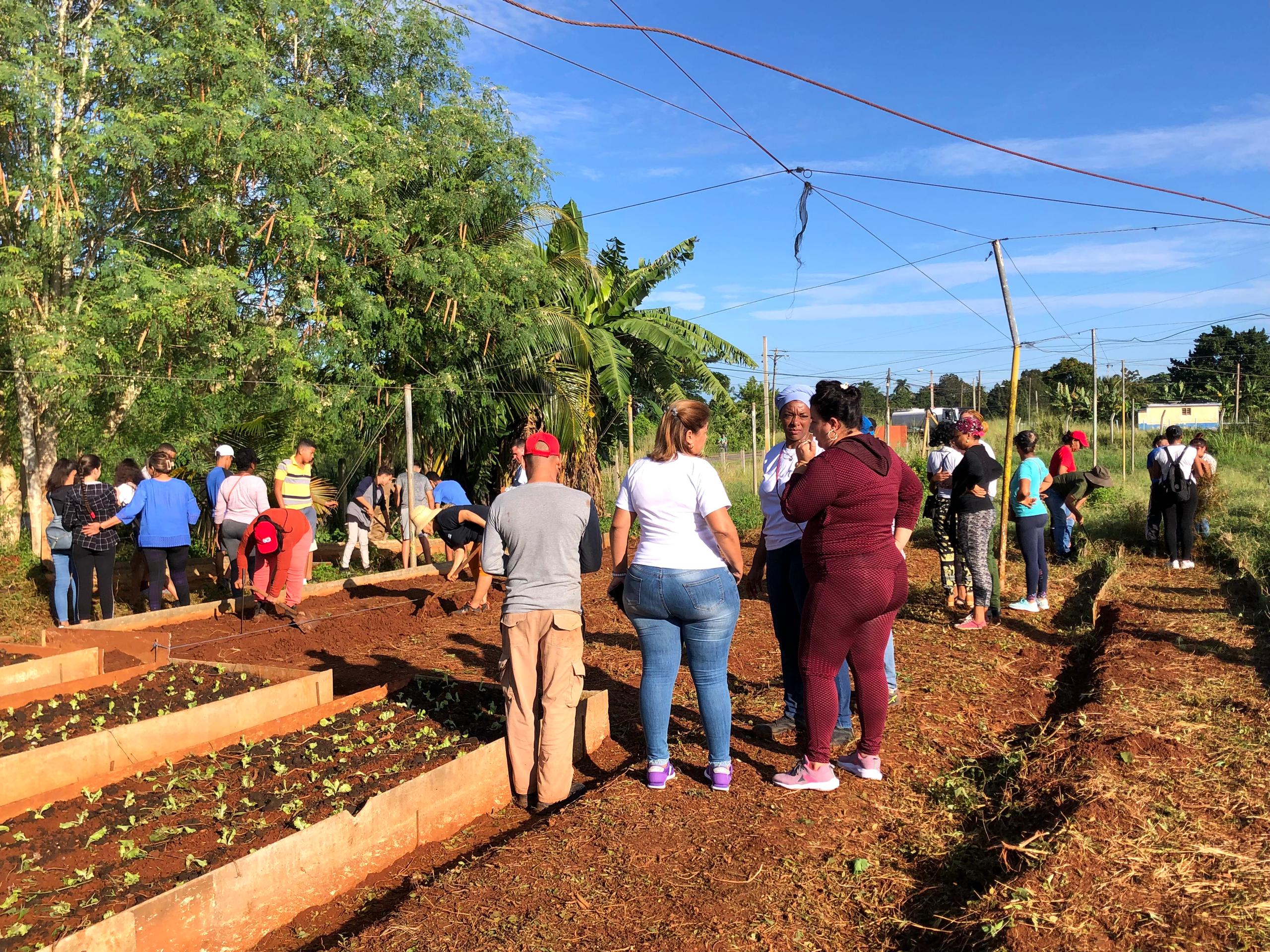 Realizan jornada masiva de trabajo voluntario en Mayabeque