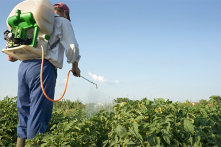 Apuestan en Quivicán por el empleo de bioproductos. Foto: Archivo