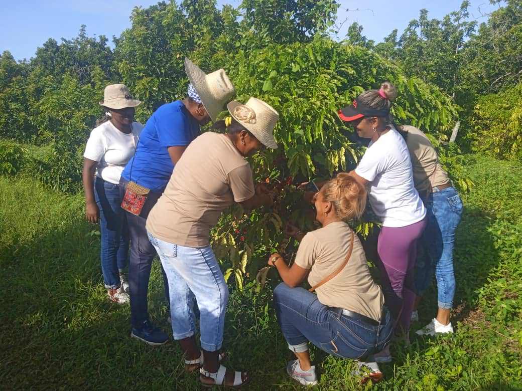 Programa Para el Adelanto de las Mujeres en Cuba en Mayabeque. Foto: Cortesía de la autora