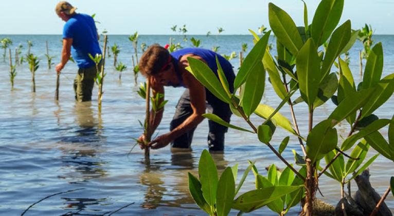 Evalúan resultados del Proyecto Resiliencia Costera en Cuba.