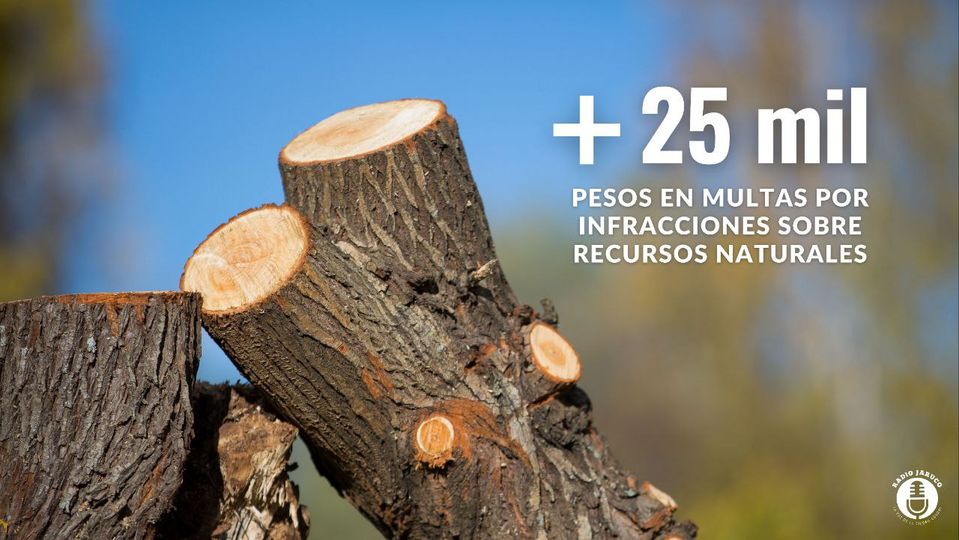 Más de 25 mil pesos en multas por infracciones sobre recursos naturales en Jaruco