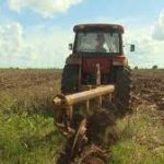Alistan tierras para siembra de papa en cooperativas de Mayabeque