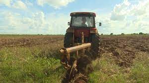 Alistan tierras para siembra de papa en cooperativas de Mayabeque