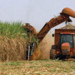 El central Boris Luis Santa Coloma entre los primeros en iniciar la zafra en el pa&iacute;s