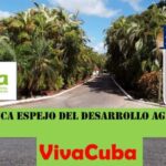 Reconocen a investigadores del Instituto Nacional de Ciencias Agrícolas