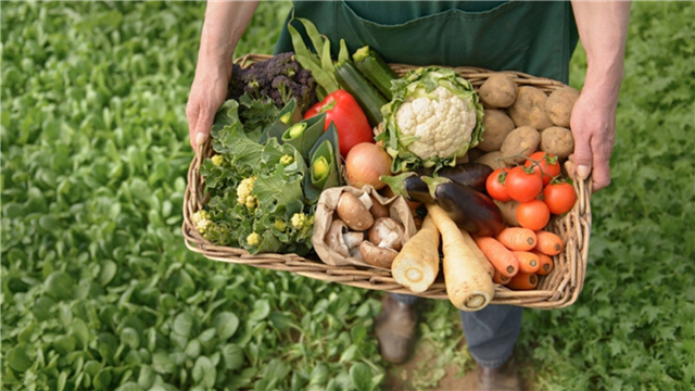 Seguridad y Soberanía Alimentaria