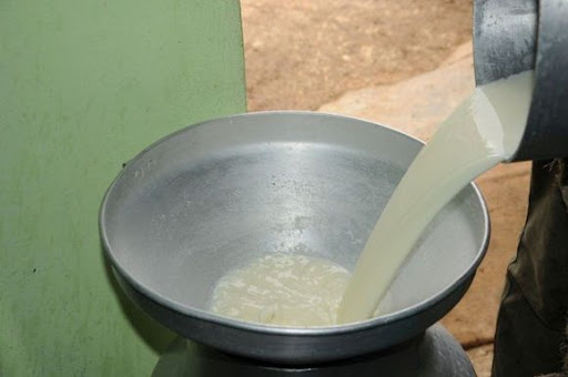 Comprueban calidad de la leche en bodega de Jaruco. Foto: Radio Jaruco