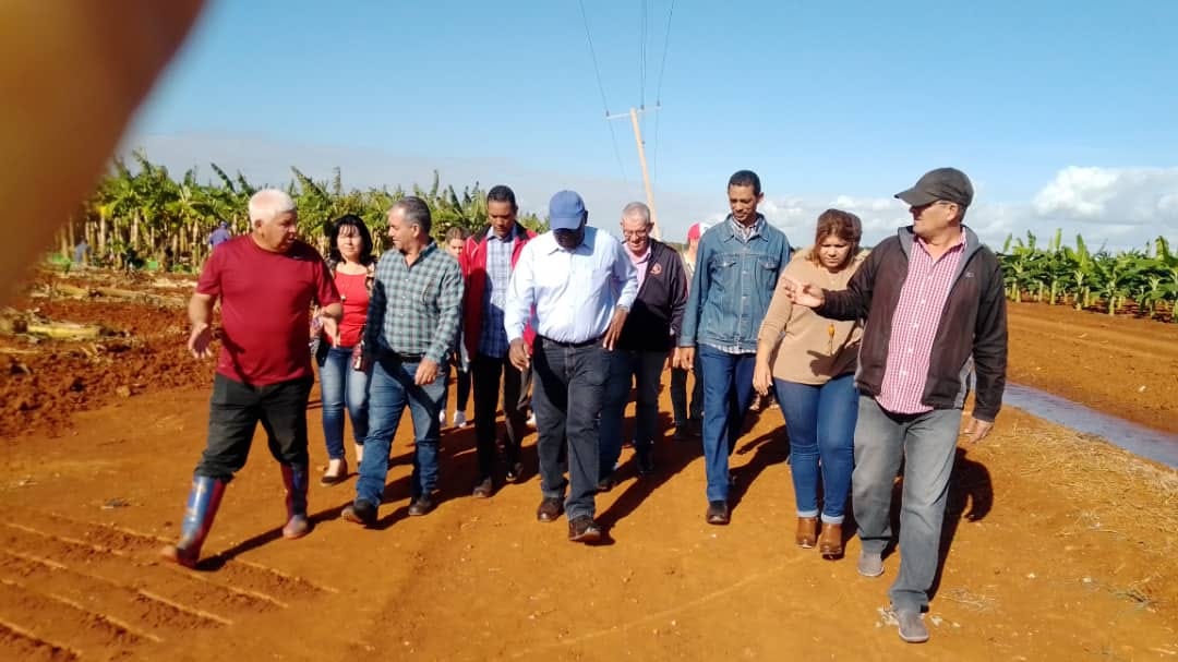 Constata Vicepresidente cubano comportamiento del Programa Nacional de Seguridad y Soberanía Alimentaria