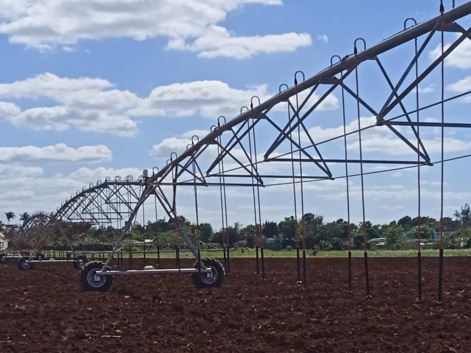 Potencian inversiones agrícolas en Mayabeque