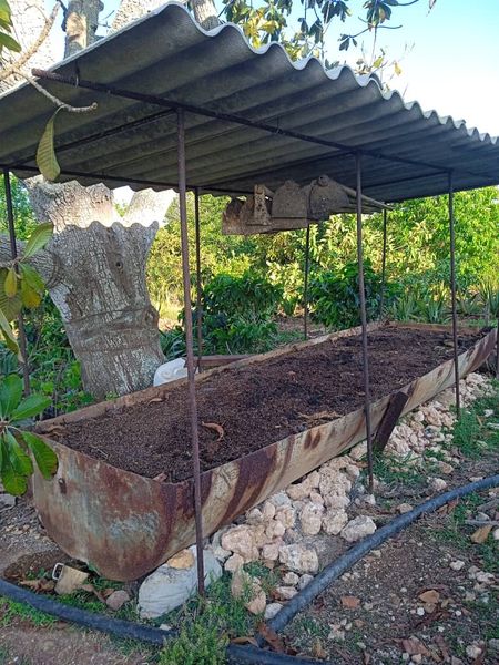 Fomentan lombricultura en Finca El Olivo