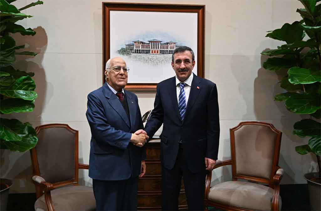 Ricardo Cabrisas se reúne con vicepresidente turco