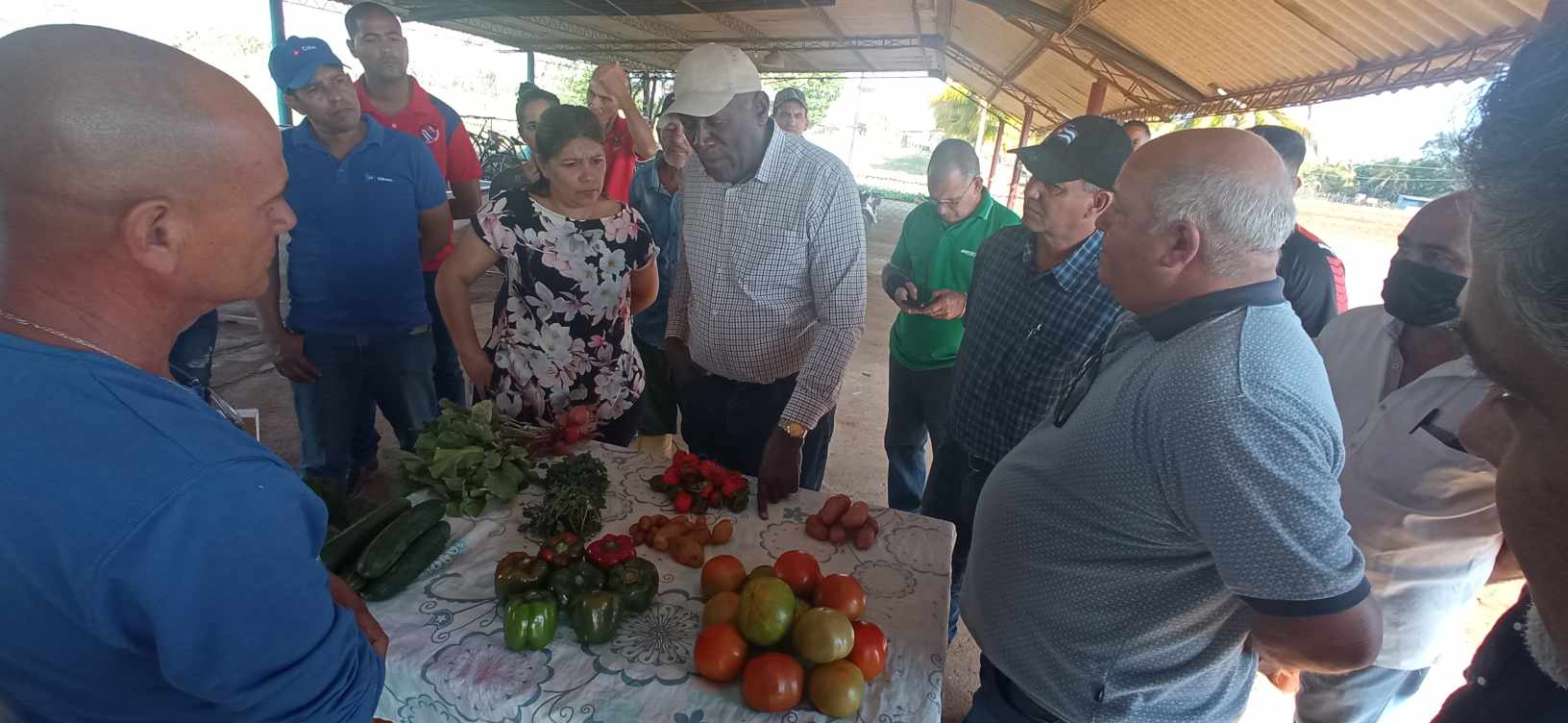 Comprueban producción de alimentos en el sur de Mayabeque.