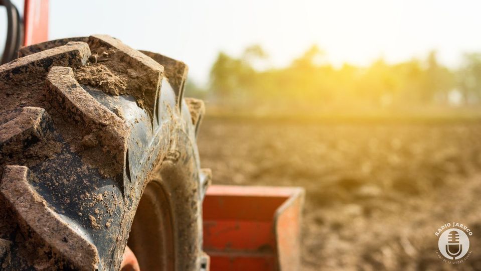 Continúa en Jaruco investigación especial en sector agropecuario