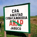 Continúa corte de caña en Cooperativa Amistad Cuba-Cambodia. Foto: Archivo