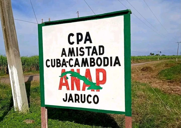 Continúa corte de caña en Cooperativa Amistad Cuba-Cambodia. Foto: Archivo