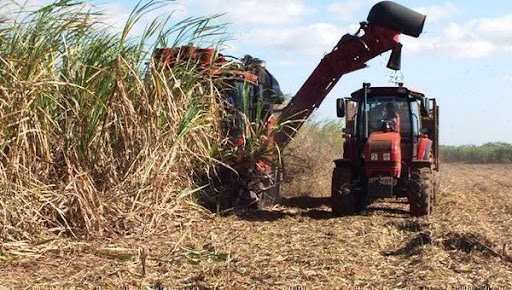 Azucareros enfrentan grandes desafíos