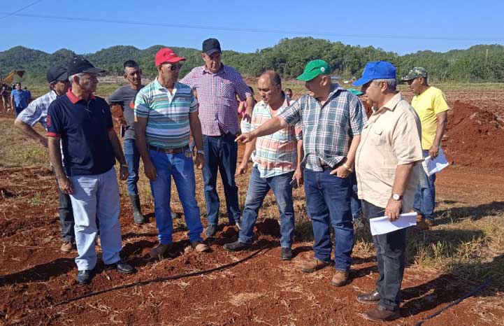 Implementan programa de reanimación integral de la Empresa Pecuaria Genética del Este. Foto: Trabajadores
