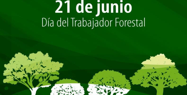 Desarrollan Encuentro del Sector Forestal en Cuba.