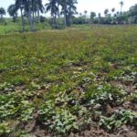 Avanza proyecto de desarrollo local Axaruco (+Fotos)