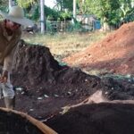 Favorece la agroecología producción agrícola en San José de las Lajas