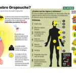 Llaman a extremar medidas ante Fiebre del Oropouche en Mayabeque. Foto: Archivo