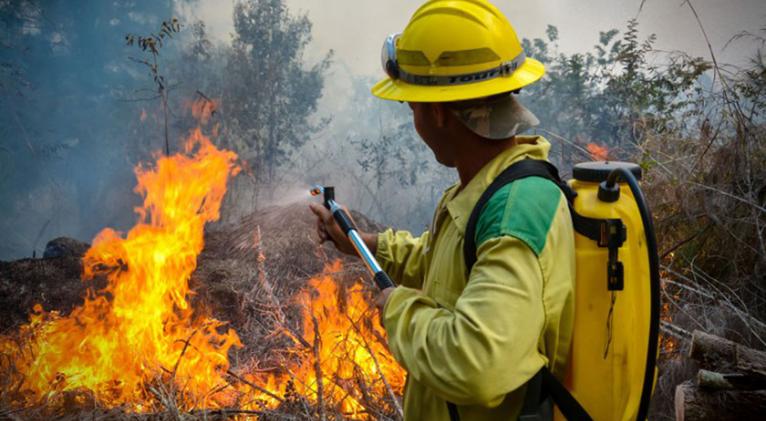 Cambio climático y negligencias humanas: desafíos de la campaña contra incendios forestales en 2024.
