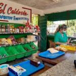 Realizarán en Jaruco Feria de Desarrollo de Actores Económicos