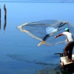 Debate de Ley de Pesca involucra a 78 municipios cubanos