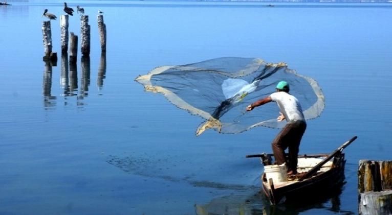 Ley de Pesca