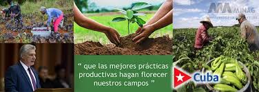 Buscan alternativas en Batabanó para contribuir a la sustitución de importaciones agrícolas