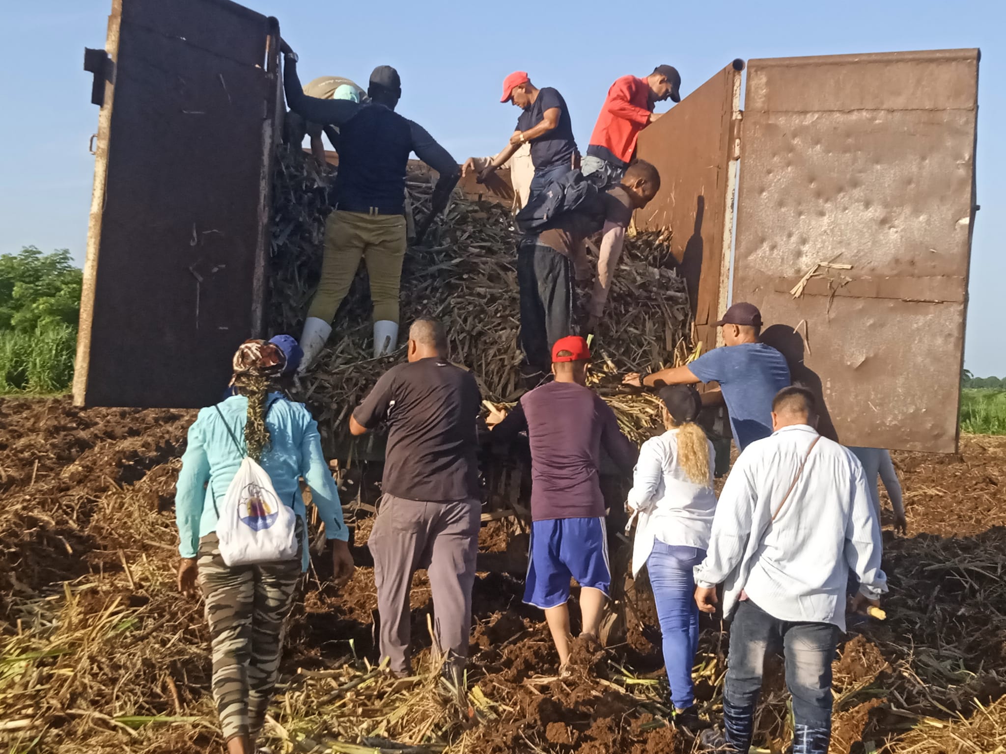Rinden homenaje a Fidel desde campos de Mayabeque