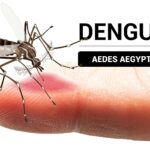 Incrementa en San Nicolás casos sospechosos de dengue
