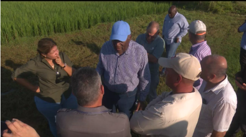 Chequea Valdés Mesa movimiento de arroz en Mayabeque.